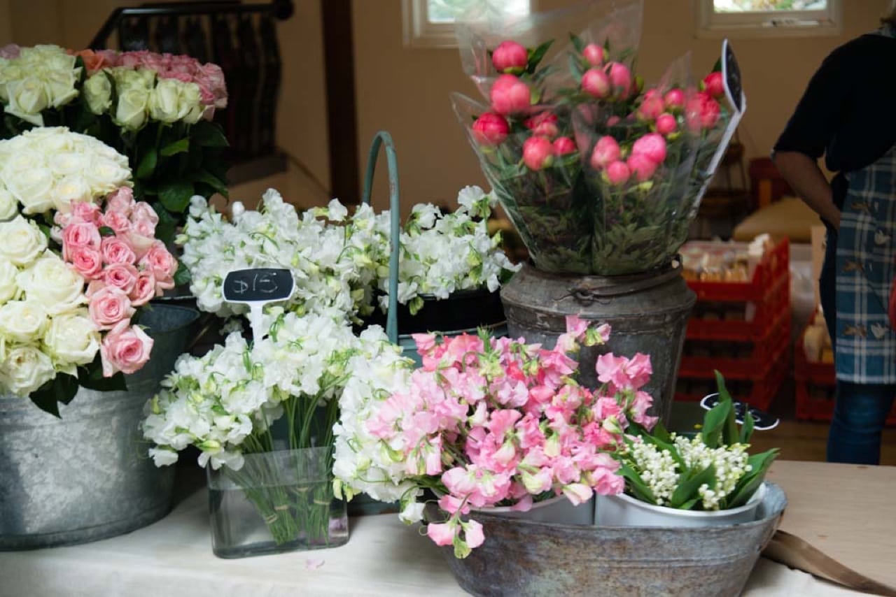 NGV Women's Association Garden Day 2017