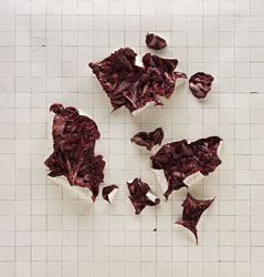 Adriana VAREJO - Folds 2 2003