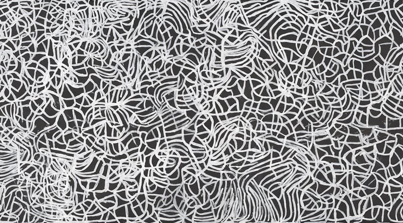 Emily Kam Kngwarray<br> <em>Anwerlarr anganenty (Big yam Dreaming)</em> 1995 <!-- (recto) --><br>   synthetic polymer paint on canvas<br> 291.1 x 801.8 cm<br>   National Gallery of Victoria, Melbourne<br> Presented through The Art Foundation of Victoria by Donald and Janet Holt and family, Governors, 1995<br> 1995.709<br>   © Emily Kam Kngwarray/Licensed by VISCOPY, Australia