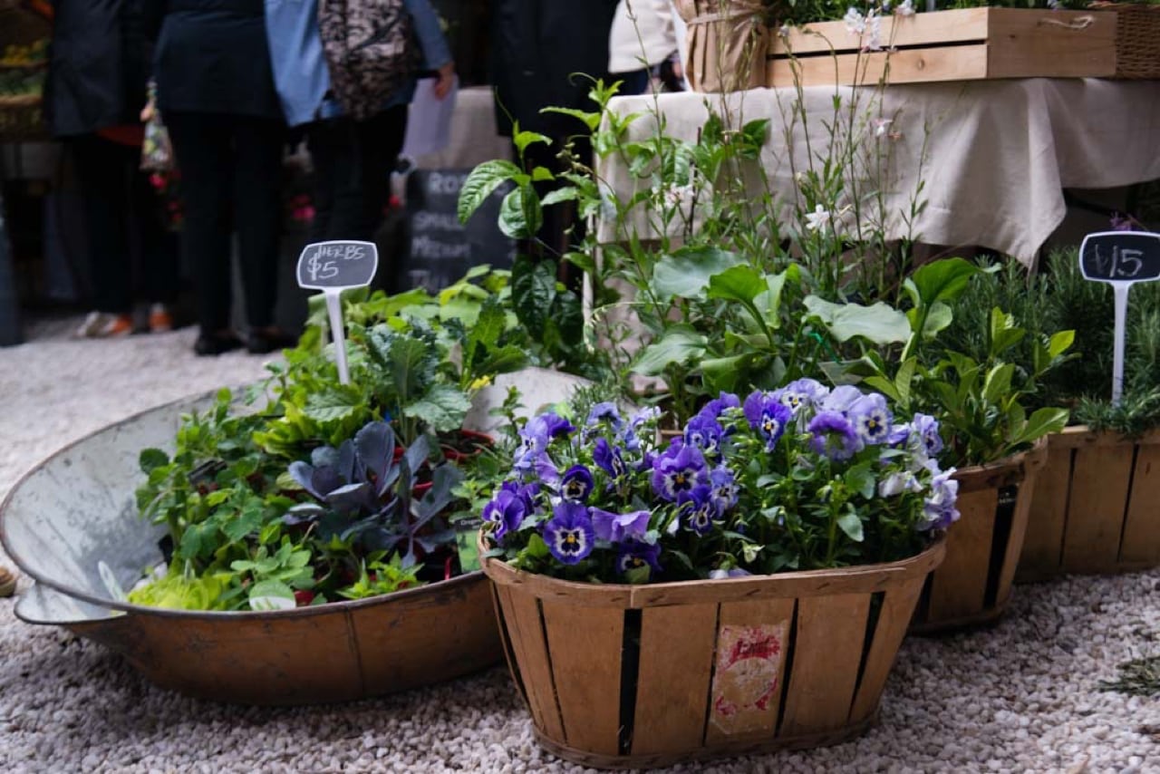 NGV Women's Association Garden Day 2017