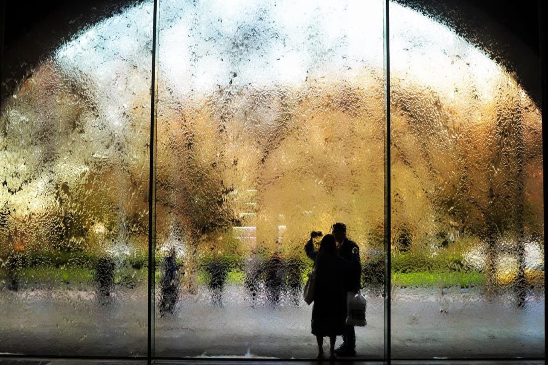 NGV International. Photo Melrose Lane Photography