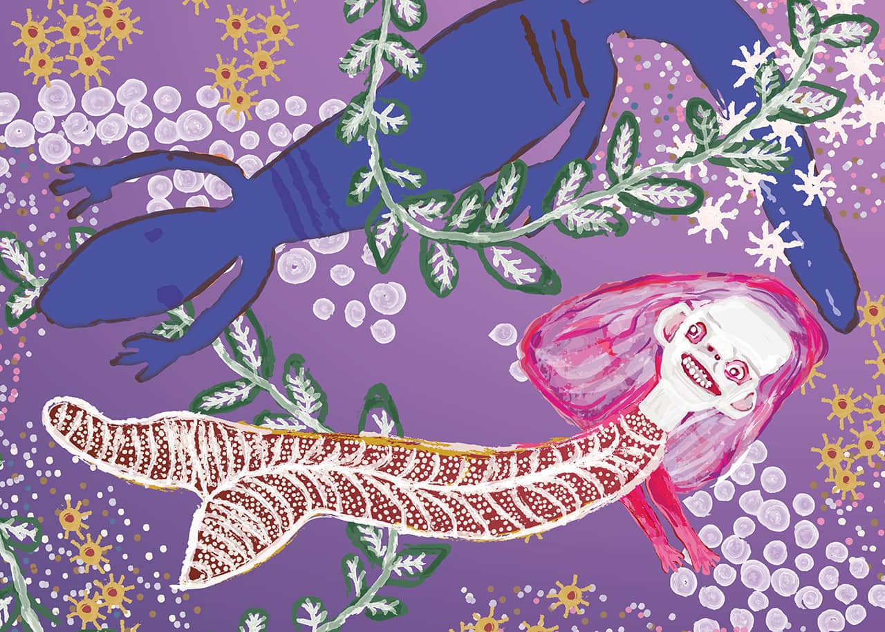 Illustration based on <em>Dhambaliŋu ga Munhaŋaniŋ</em> 2002 by Ms N. Yunupiŋu
