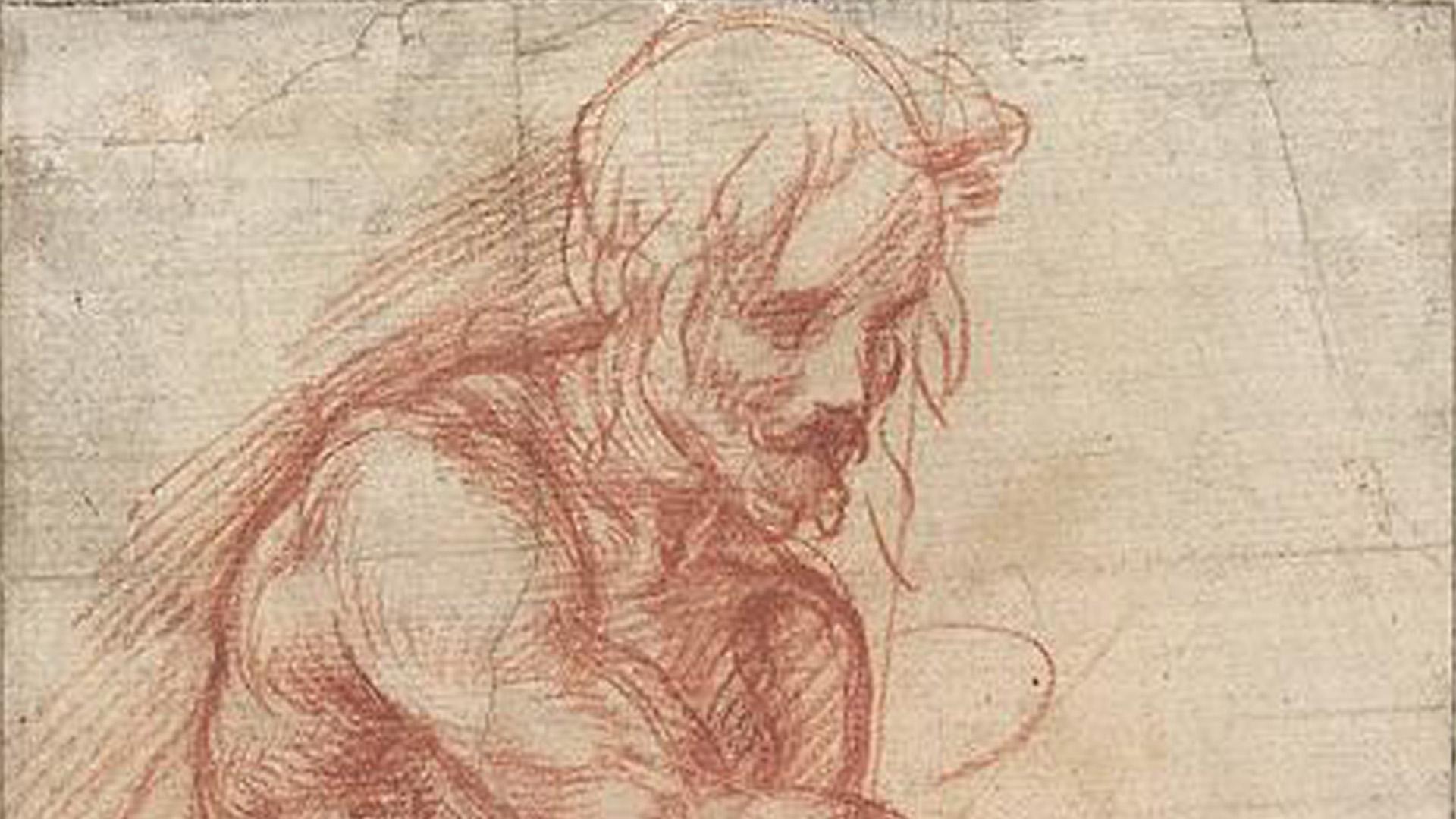 Andrea del SARTO <em>Study for St John the Baptist</em> (c. 1517)<br /> red chalk <br />38.5 x 18.8 cm irreg. (sheet) <br />National Gallery of Victoria, Melbourne Felton Bequest, 1936