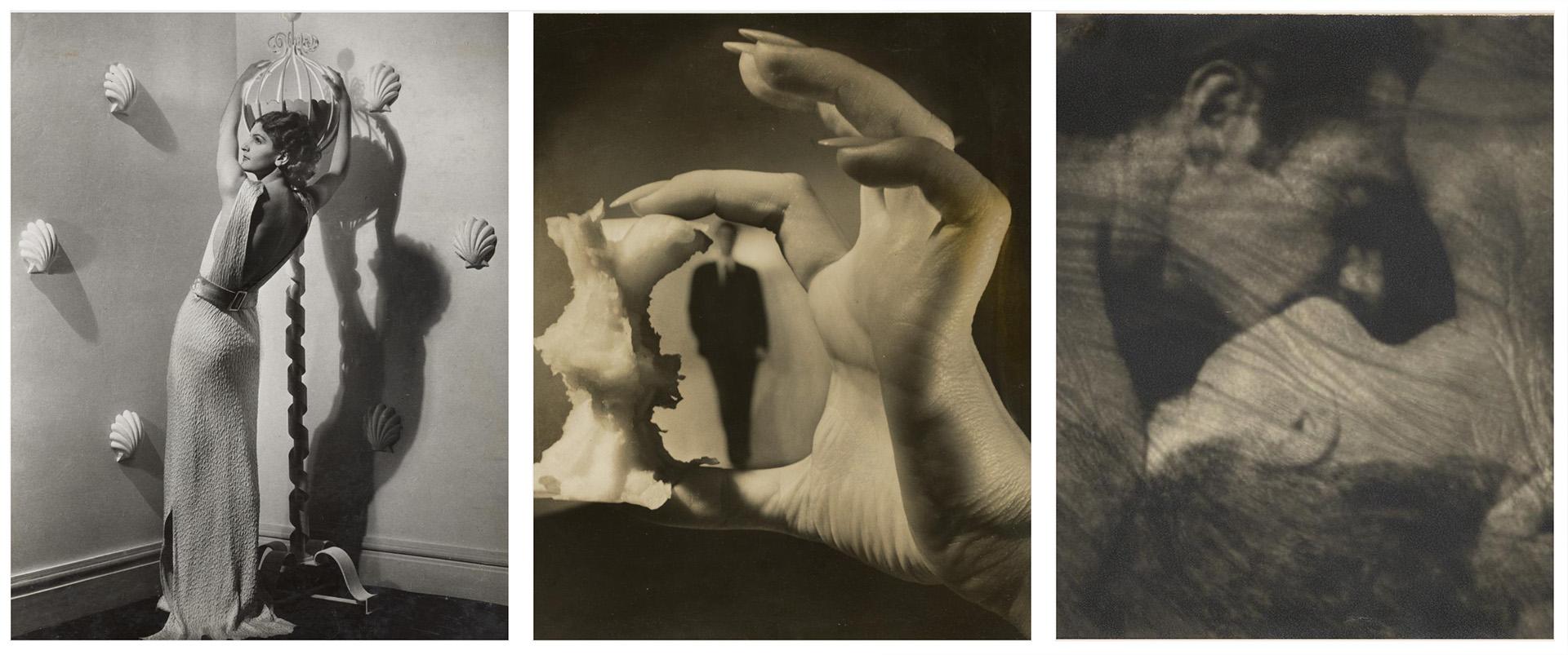 NGV Summer Appeal 2026