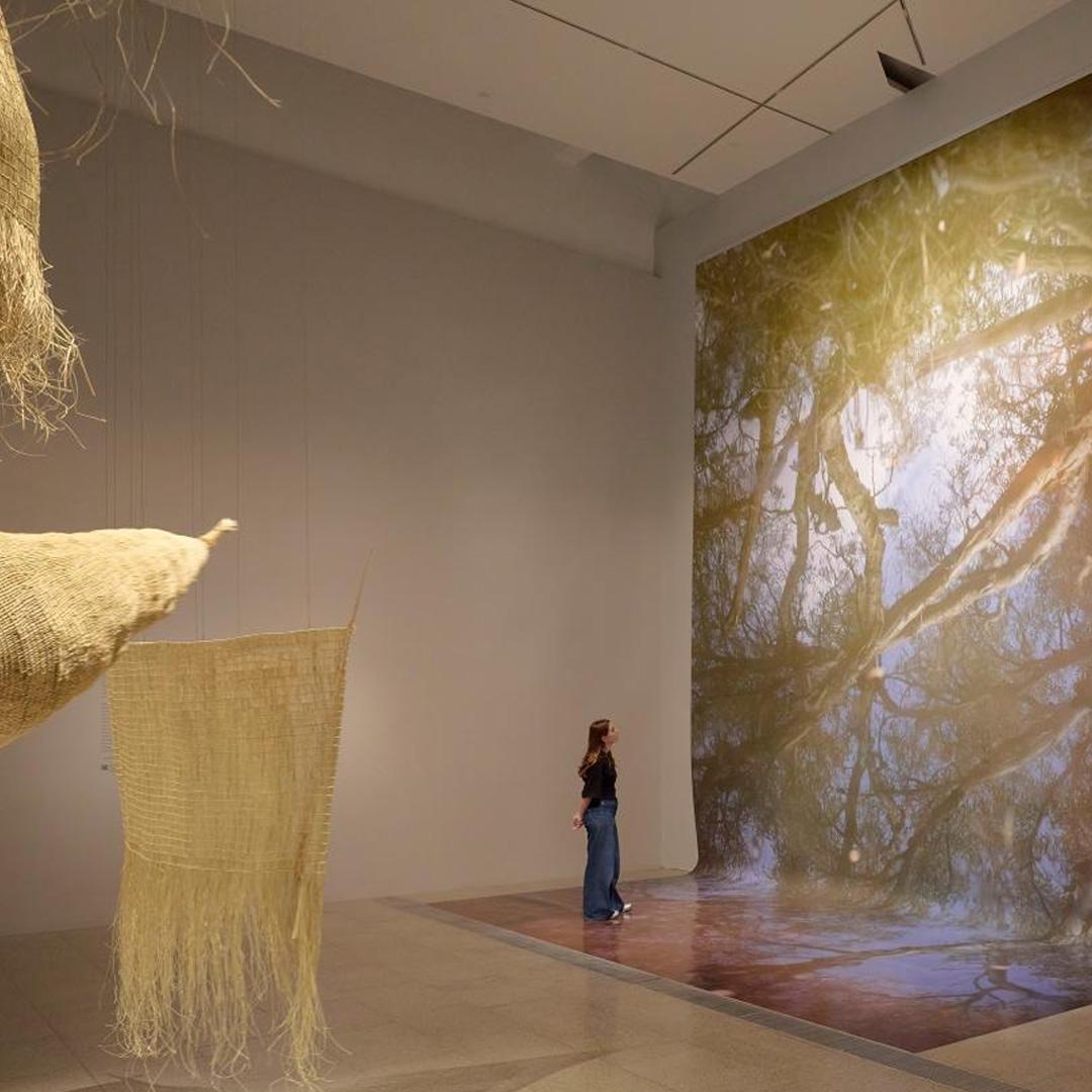 Installation view of Future Country